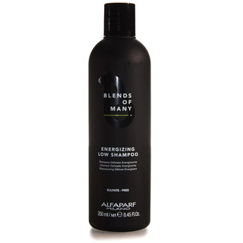 Blends of Many Energizing Low Shampoo (vypadávanie vlasov) - Energizujúci šampón
